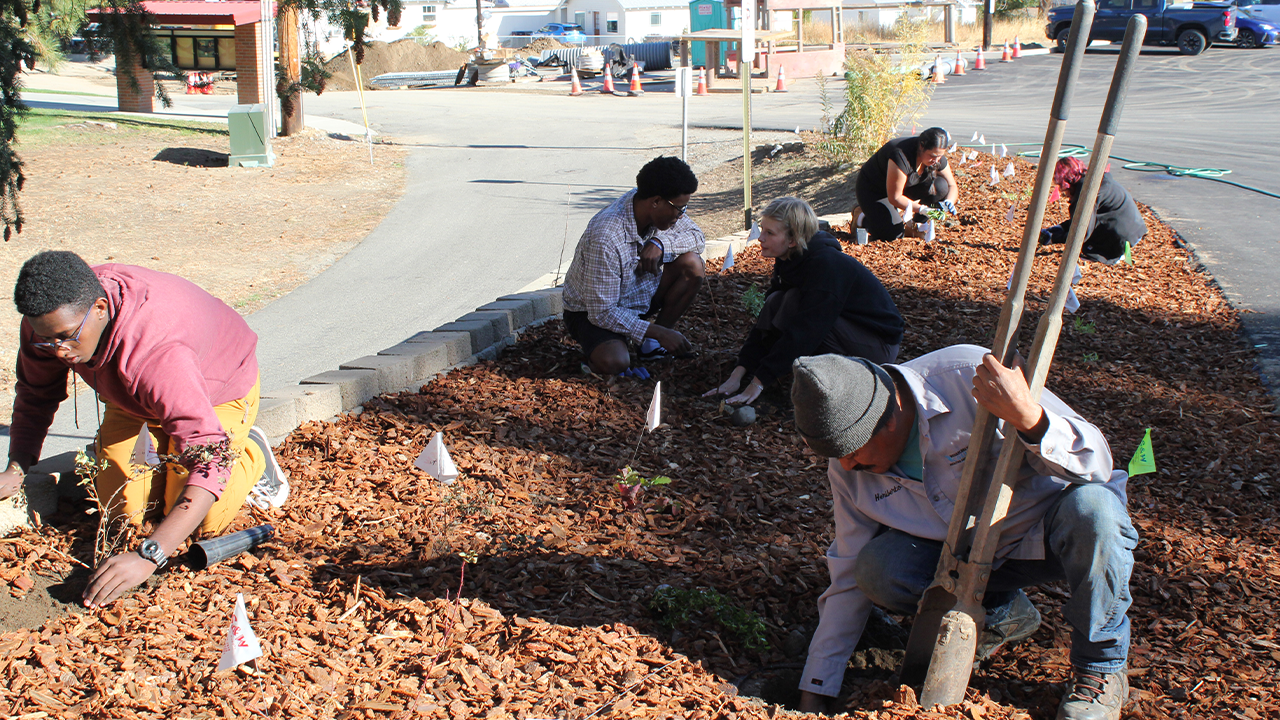 Los alumnos y el personal del WVC plantan plantas en un jardín para polinizadores.