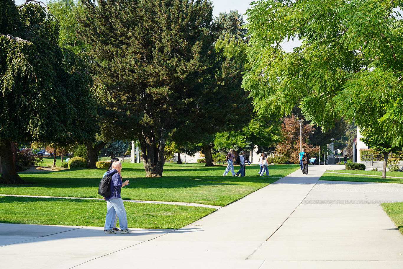 Estudiantes paseando por el campus