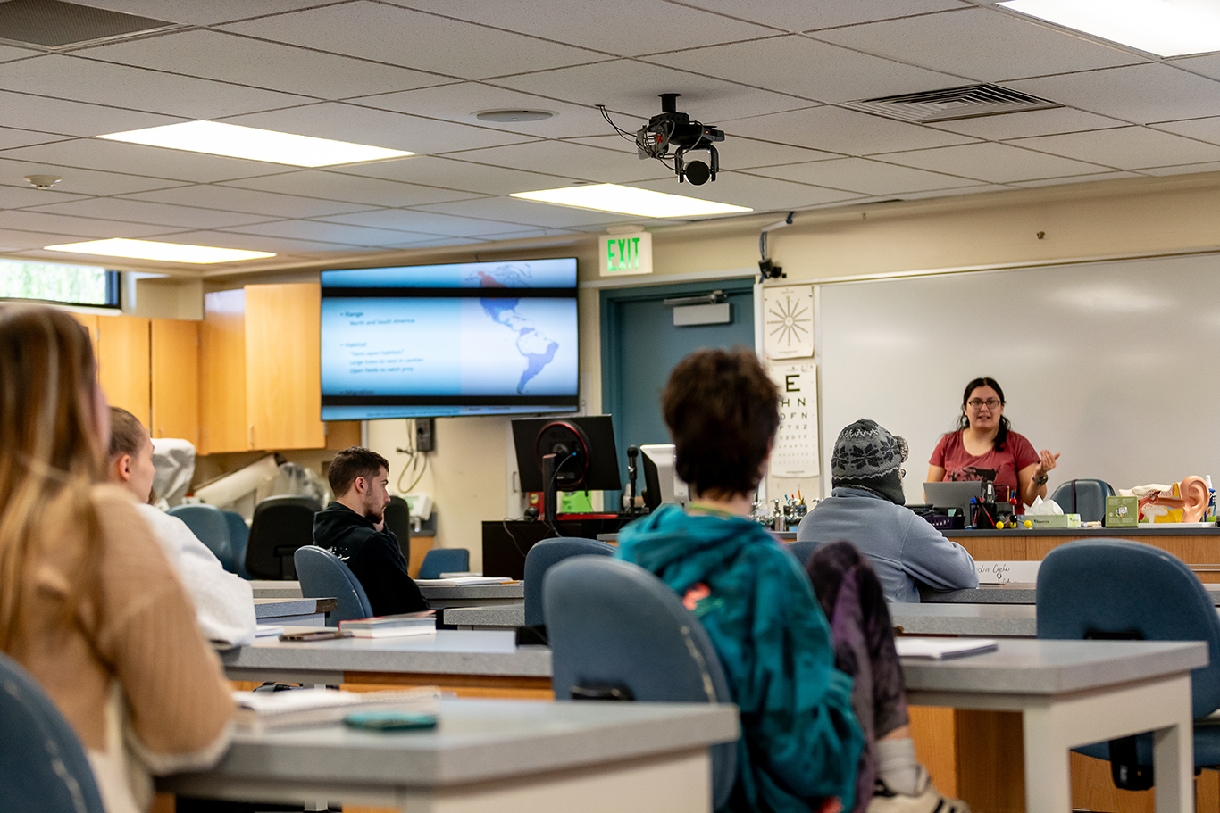Foto de un profesor impartiendo clase a sus alumnos