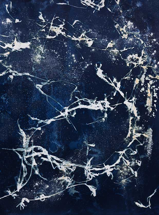 Santuario Linda Lyons