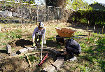 Los profesores Saxon Spillman y Branwen Schaub construyen bancales elevados en el huerto comunitario.