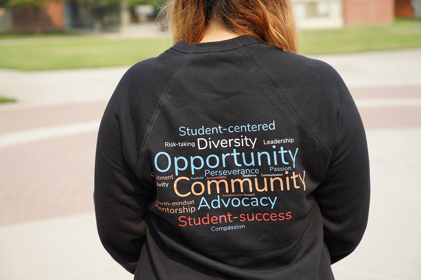 Foto de la sudadera con la nube de palabras de MESA